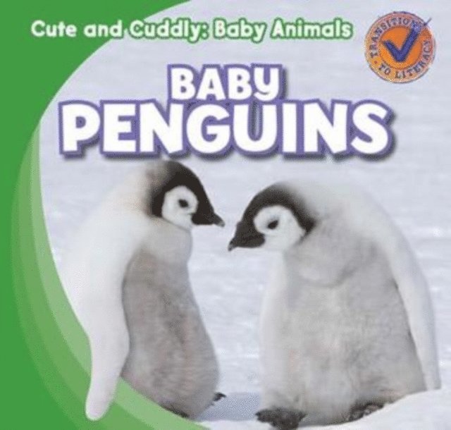 Katie Kawa - Baby Penguins, E-bok