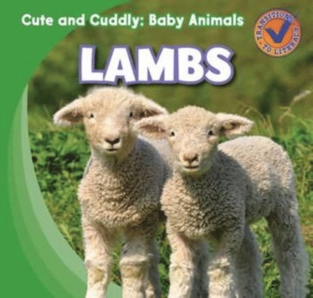 Katie Kawa - Lambs, E-bok