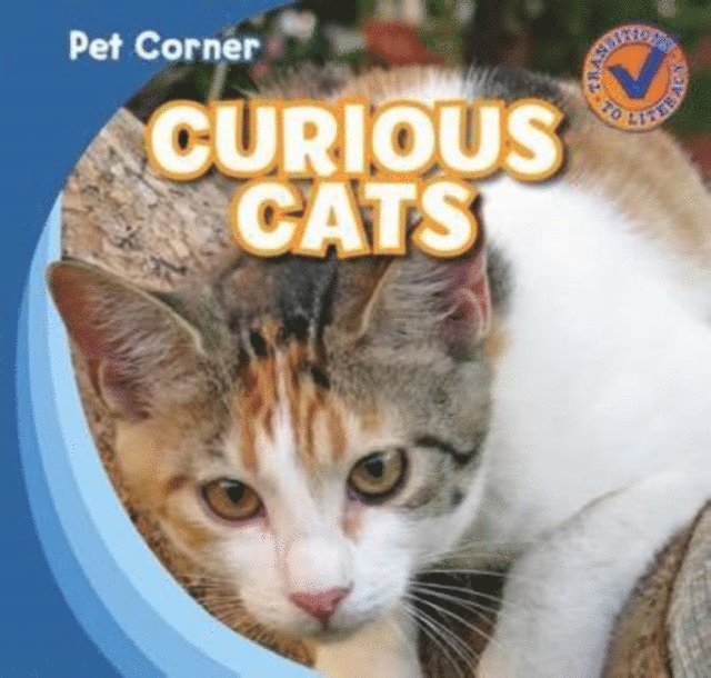 Katie Kawa - Curious Cats, E-bok