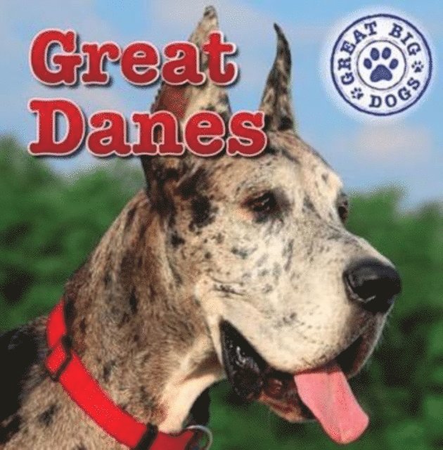 Kristen Rajczak Nelson - Great Danes, E-bok