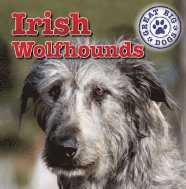 Kristen Rajczak Nelson - Irish Wolfhounds, E-bok