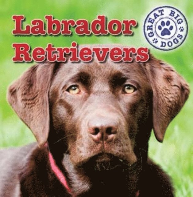 Maria Nelson - Labrador Retrievers, E-bok