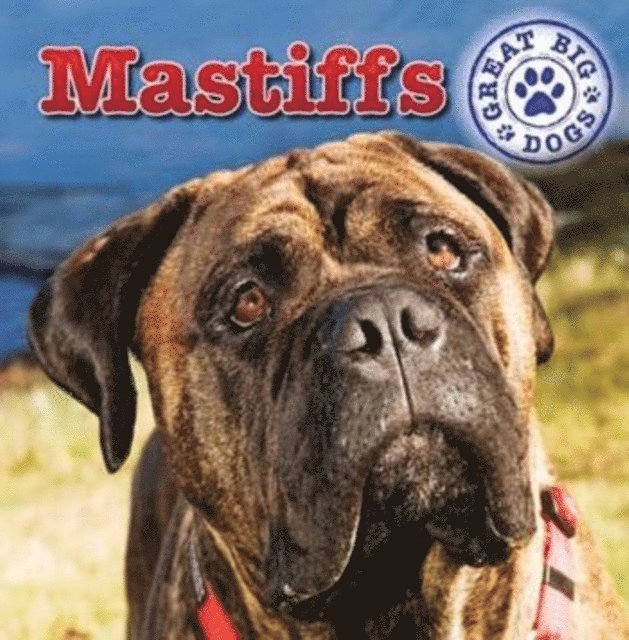 Maria Nelson - Mastiffs, E-bok