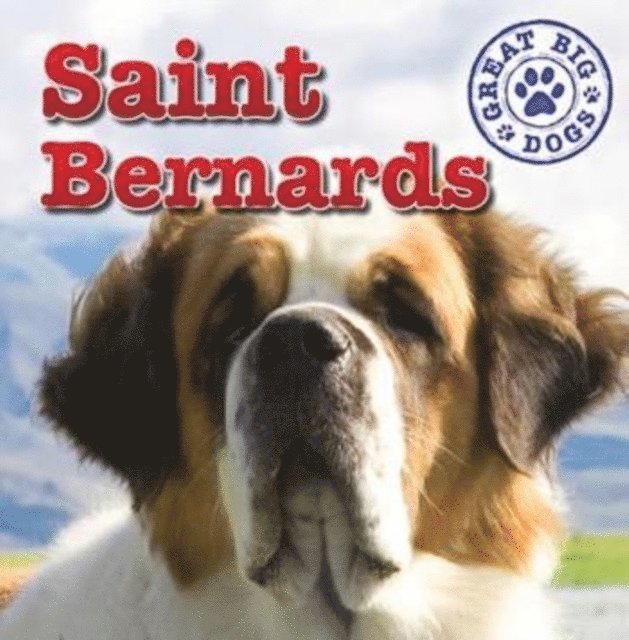 Maria Nelson - St. Bernards, E-bok