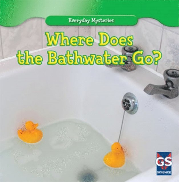 Daisy Allyn - Where Does the Bathwater Go?, E-bok