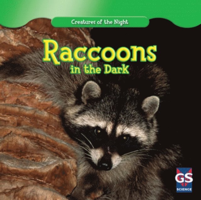 Jack O'Mara - Raccoons in the Dark, E-bok