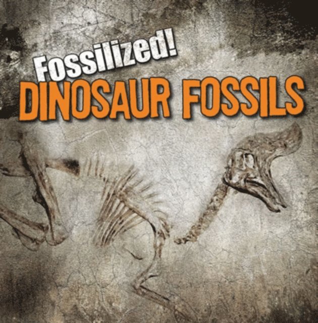 Kathleen Connors - Dinosaur Fossils, E-bok