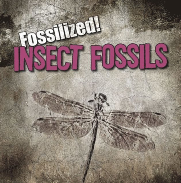 Kathleen Connors - Insect Fossils, E-bok