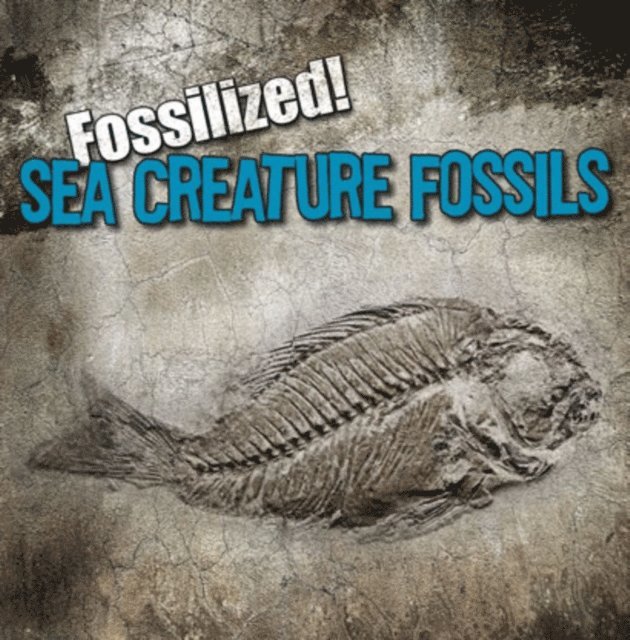 Kathleen Connors - Sea Creature Fossils, E-bok