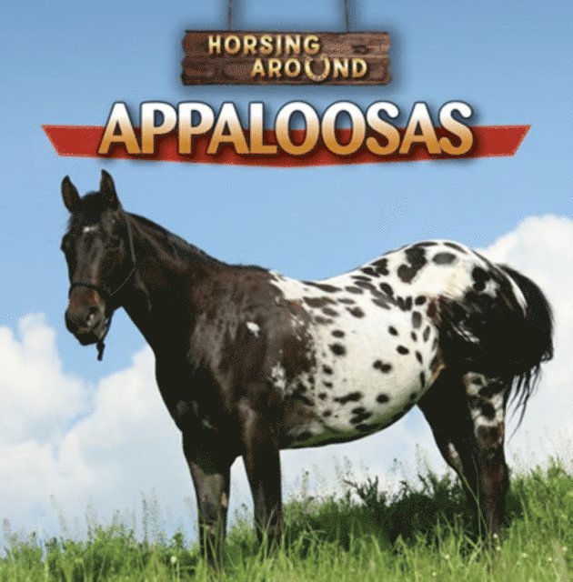 Barbara M. Linde - Appaloosas, E-bok