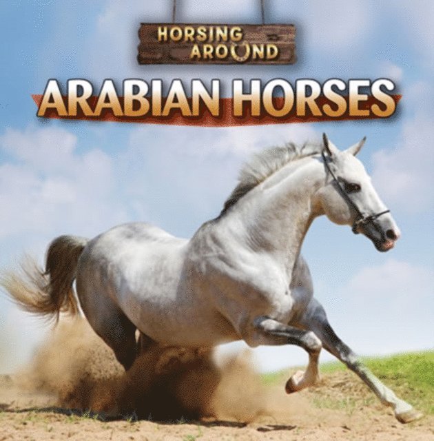 Barbara M. Linde - Arabian Horses, E-bok