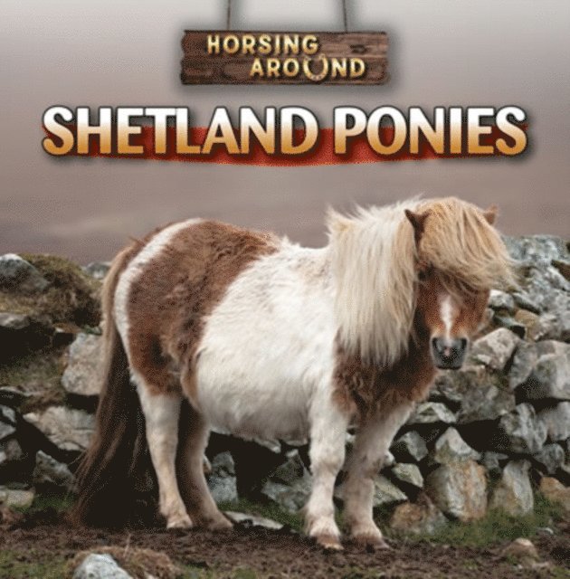 Kristen Rajczak Nelson - Shetland Ponies, E-bok