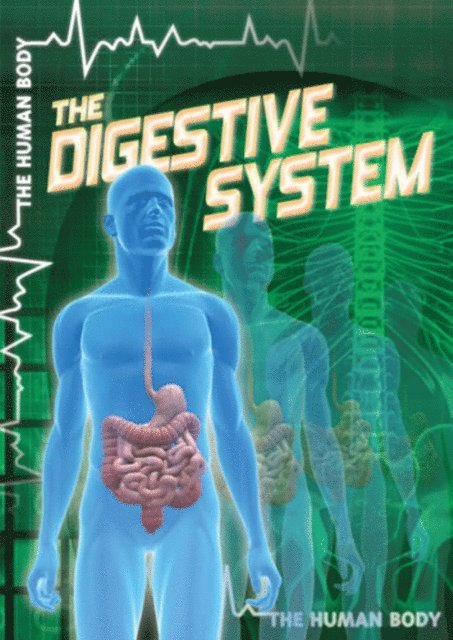 John M. Shea - Digestive System, E-bok