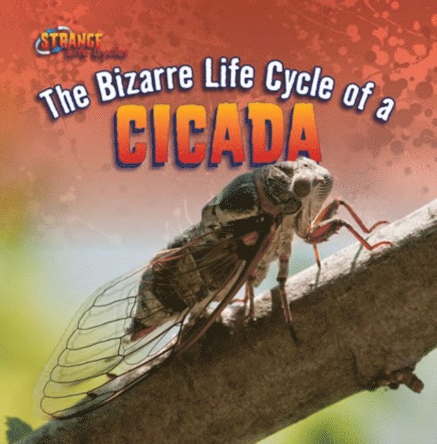 Greg Roza - Bizarre Life Cycle of a Cicada, E-bok