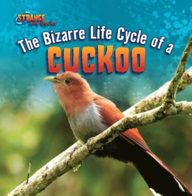 Barbara M. Linde - Bizarre Life Cycle of a Cuckoo, E-bok