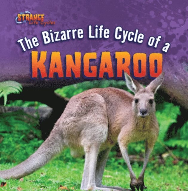 Barbara M. Linde - Bizarre Life Cycle of a Kangaroo, E-bok