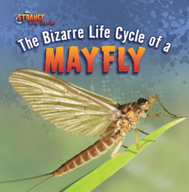 Greg Roza - Bizarre Life Cycle of a Mayfly, E-bok