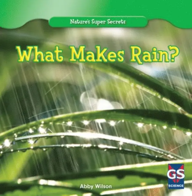 Annmarie Wilson - What Makes Rain?, E-bok. Tillgänglighet: Lägg i varukorg
