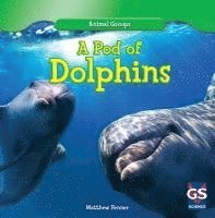 Matthew Fenner - A Pod of Dolphins, Inbunden. Tillgänglighet: Lägg i varukorg