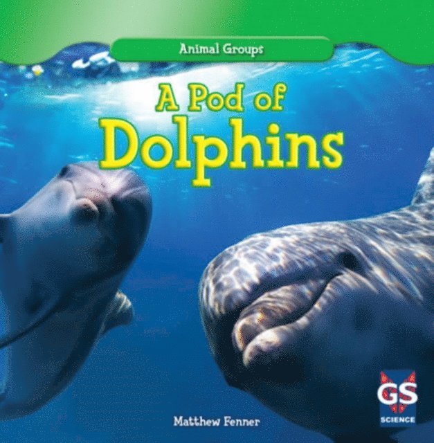 Matthew Fenner - Pod of Dolphins, E-bok. Tillgänglighet: Lägg i varukorg