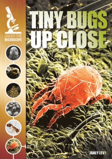 Janey Levy - Tiny Bugs Up Close, E-bok