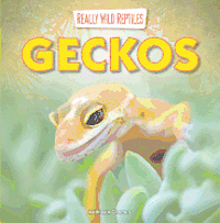 Kathleen Connors - Geckos, Häftad