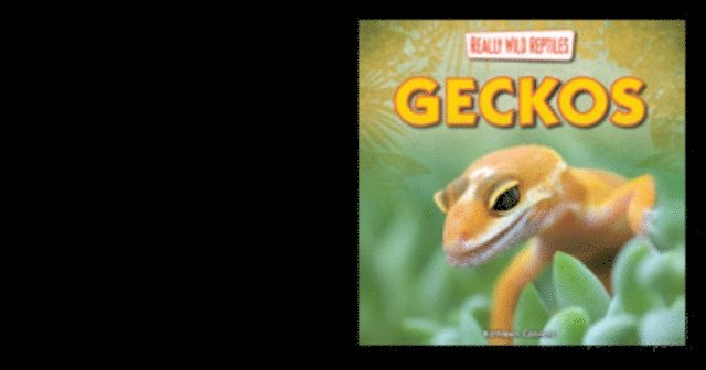 Kathleen Connors - Geckos, E-bok