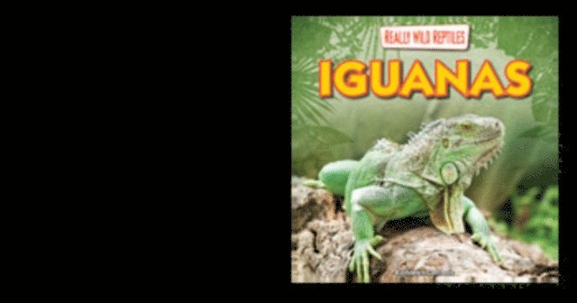 Kathleen Connors - Iguanas, E-bok