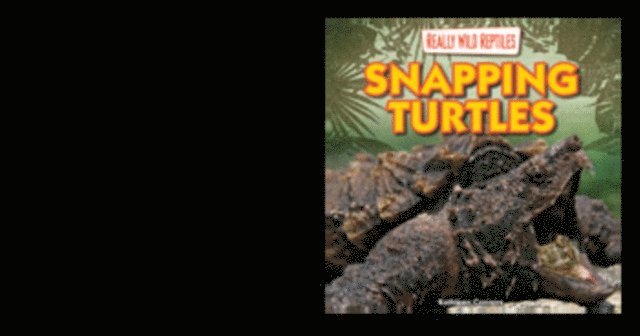 Kathleen Connors - Snapping Turtles, E-bok