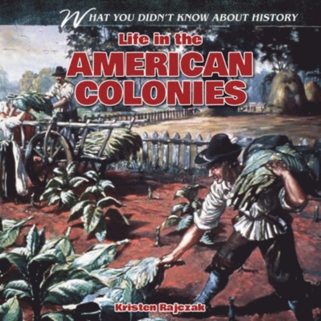 Life in the American Colonies