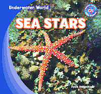 Ryan Nagelhout - Sea Stars, Inbunden