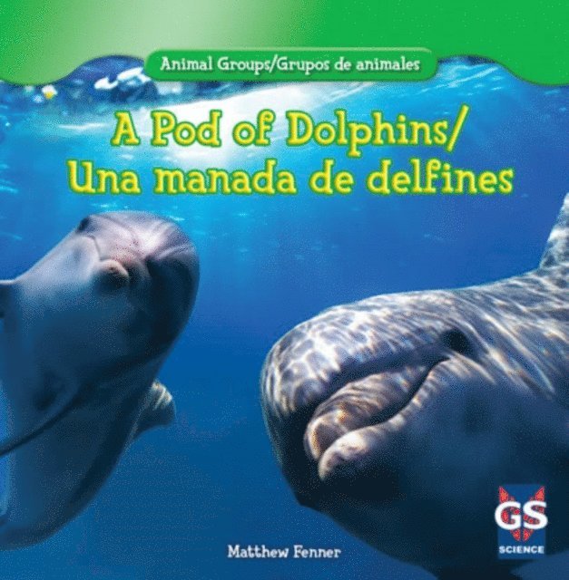 Matthew Fenner - Pod of Dolphins / Una manada de delfines, E-bok. Tillgänglighet: Lägg i varukorg