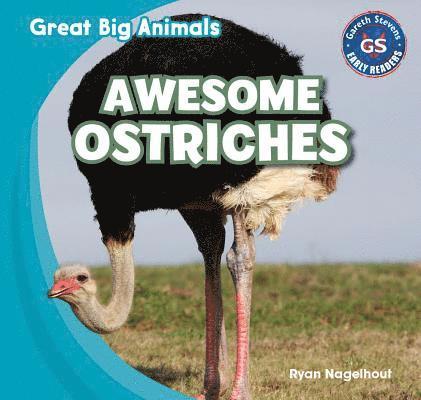 Ryan Nagelhout - Awesome Ostriches, Inbunden. Tillgänglighet: Lägg i varukorg