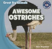 Ryan Nagelhout - Awesome Ostriches, Häftad. Tillgänglighet: Lägg i varukorg