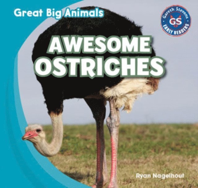 Ryan Nagelhout - Awesome Ostriches, E-bok. Tillgänglighet: Lägg i varukorg