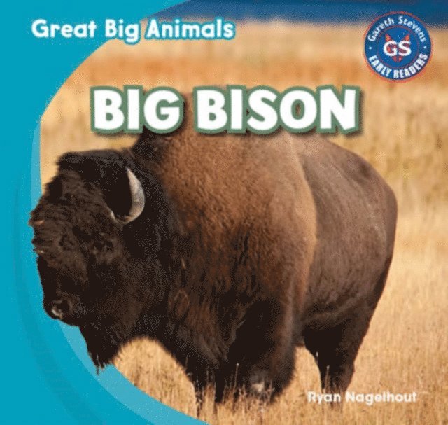 Ryan Nagelhout - Big Bison, E-bok