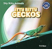 T. H. Baer - Itty Bitty Geckos, Inbunden. Tillgänglighet: Tillfälligt slut
