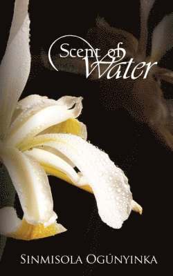Sinmisola Ogunyinka - Scent of Water, Häftad