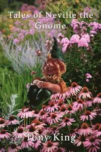Tales of Neville the Gnome