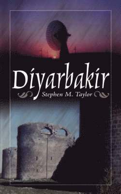 Stephen M Taylor - Diyarbakir, Häftad