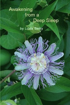 Linda Berry - Awakening from A Deep Sleep, Häftad