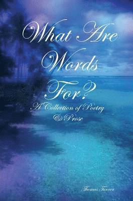 Thomas Turner - What Are Words For?, Häftad
