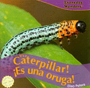 Elisa Peters - It's a Caterpillar! / ¡Es Una Oruga!, Inbunden