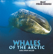 Sara Swan Miller - Whales of the Arctic, Häftad