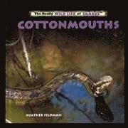 Heather Feldman - Cottonmouths, Häftad. Tillgänglighet: Lägg i varukorg