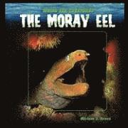 Miriam Gross - The Moray Eel, Häftad