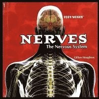 Gillian Houghton - Nerves: The Nervous System, Häftad