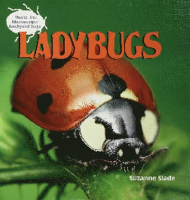 Suzanne Slade - Ladybugs, E-bok