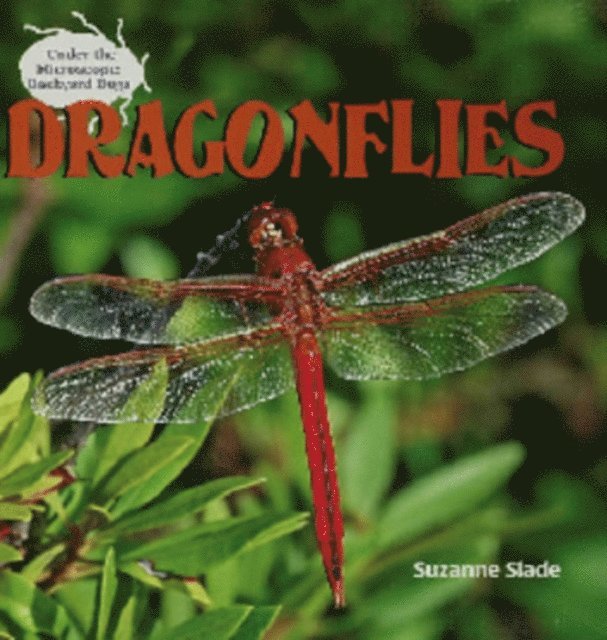 Suzanne Slade - Dragonflies, E-bok