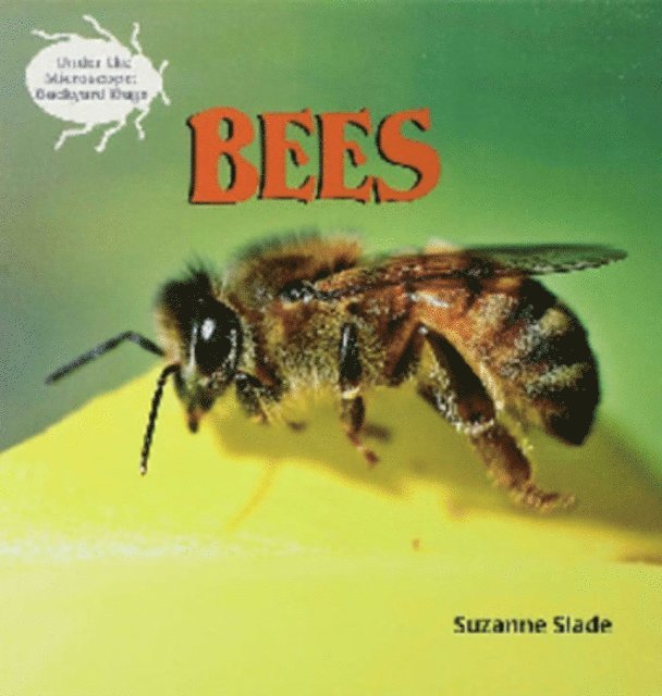 Suzanne Slade - Bees, E-bok